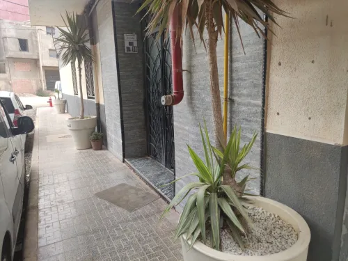 Location Appartement F3 Oran Oran