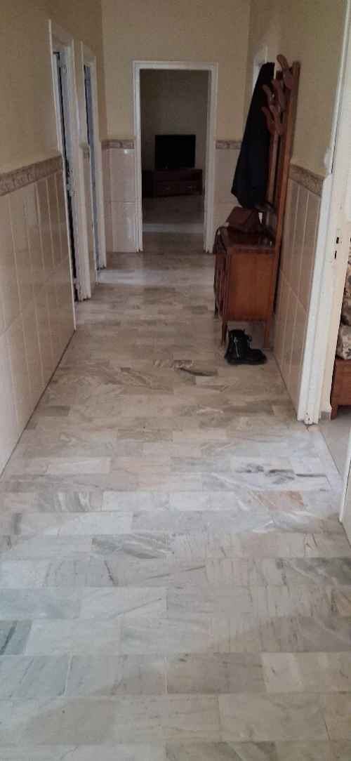 Vente Terrain Alger Cheraga