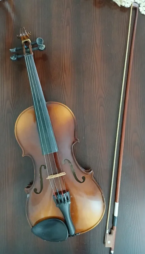 Violon 4/4 