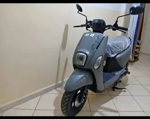 Cuxi Cuxi 2 2025