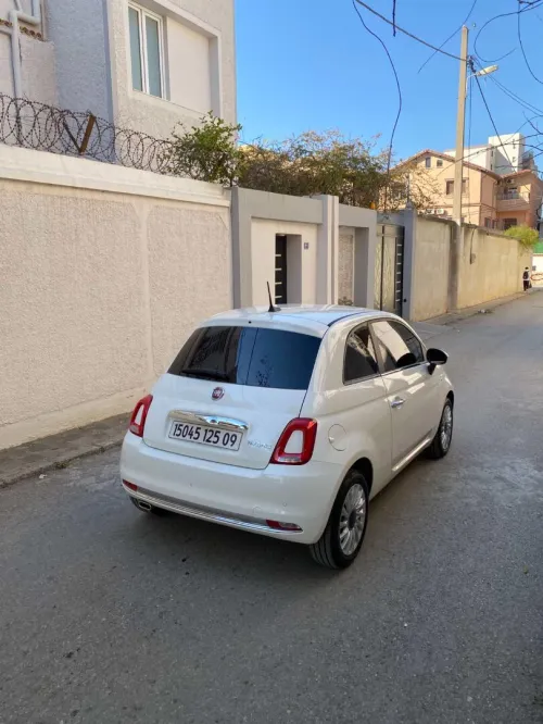 Fiat 500 2025 Cult MIB