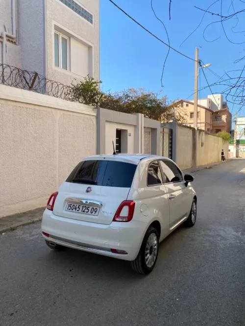 Fiat 500 2025 Cult MIB