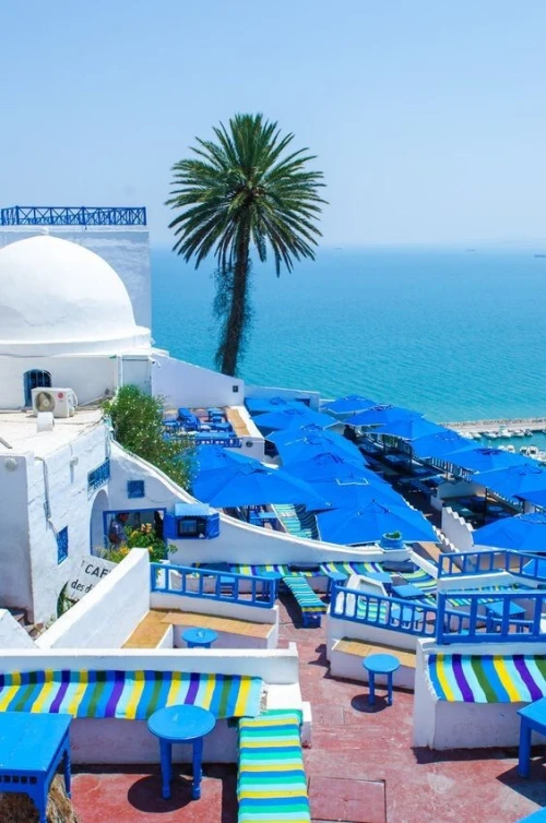 Tunisie par Bus Décembre 2024