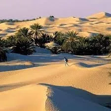 Oued Souf Décembre et New Year 2025