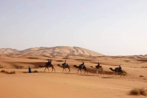 VOYAGE ORGANISE Timimoun 2026