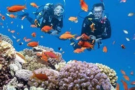  Promo Voyage organisé Egypte Hurghada Vol Direct été 2025
