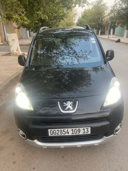 Peugeot Partner 2009 Tepee