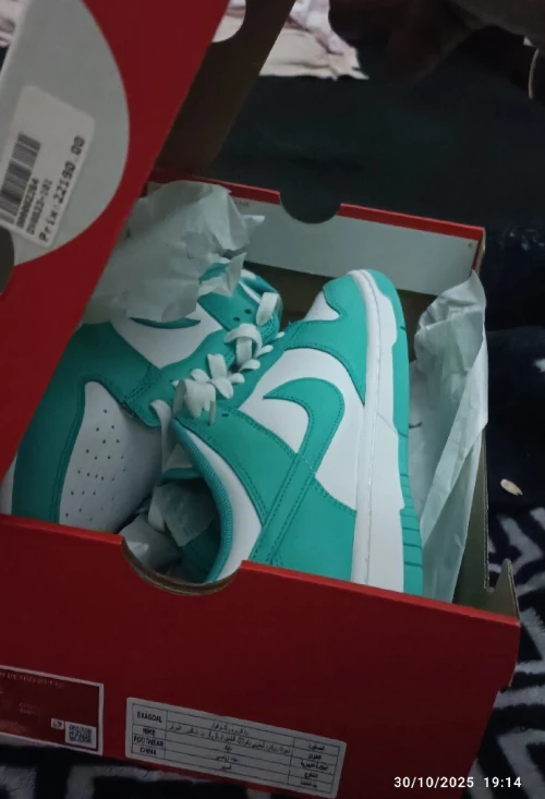 Nike dunk clear jade original Pointure 43 