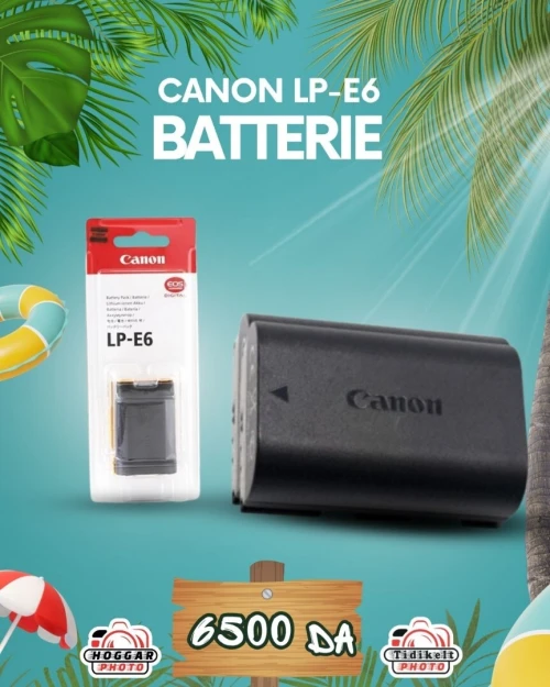 Batterie Canon LP-E6 orignal