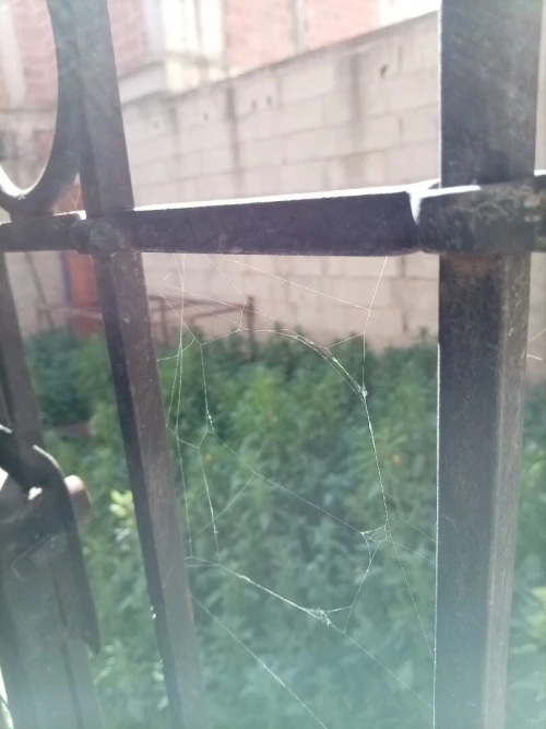 Vente Villa Alger Reghaia