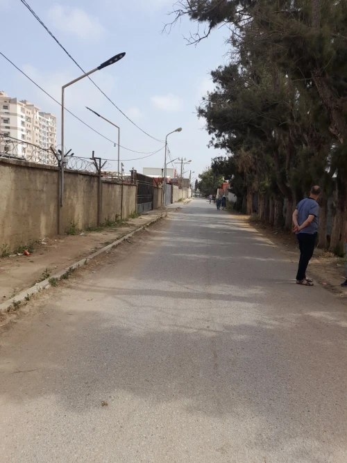 Vente Terrain Alger Reghaia
