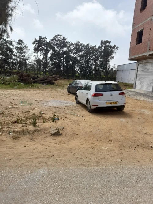 Vente Terrain Alger Reghaia