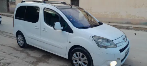 Citroen Berlingo 2010 Berlingo