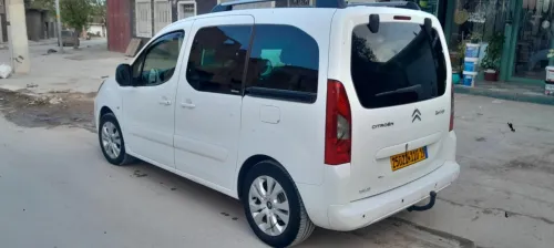 Citroen Berlingo 2010 Berlingo