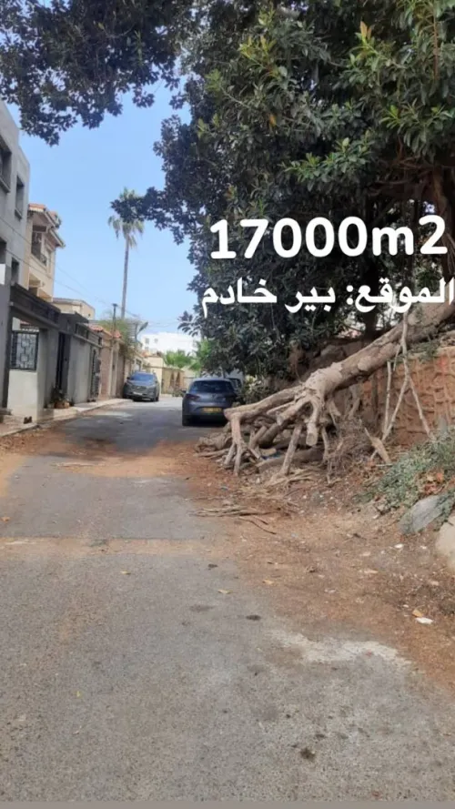 Vente Terrain Alger Birkhadem
