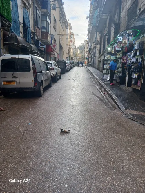 Location Local Alger Bab el oued