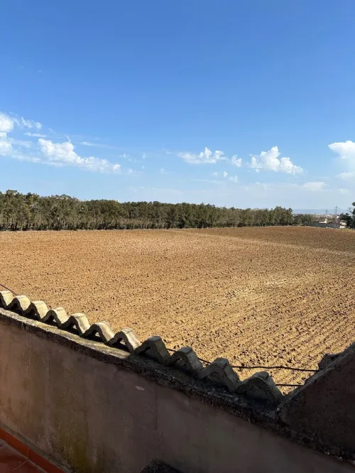 Vente Villa Alger Reghaia