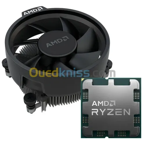 CPU RYZEN 5 8600 G MPK