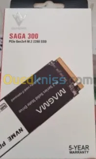 SSD MAGMA NVEME GN3 2280 256GB