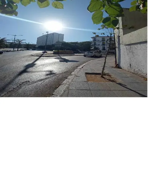 Location Local Alger Sidi mhamed