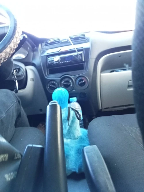 Kia Picanto 2008 