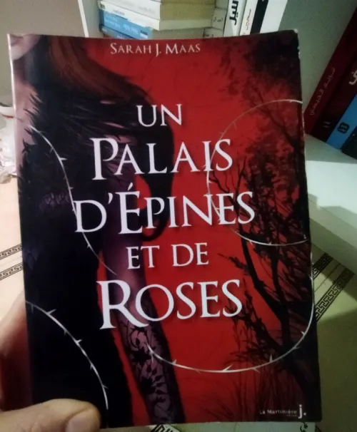 6 Romans en français 