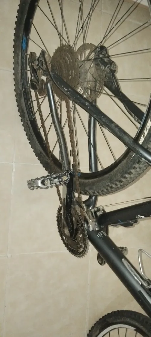 Vélo bulls de l'almagne