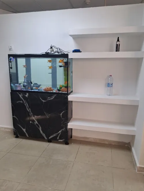 Aquarium avec meuble 1m équipée avec 40 poissons Cycledis Labidos Jaune