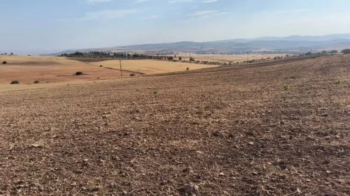 Vente Terrain Tissemsilt Tissemsilt