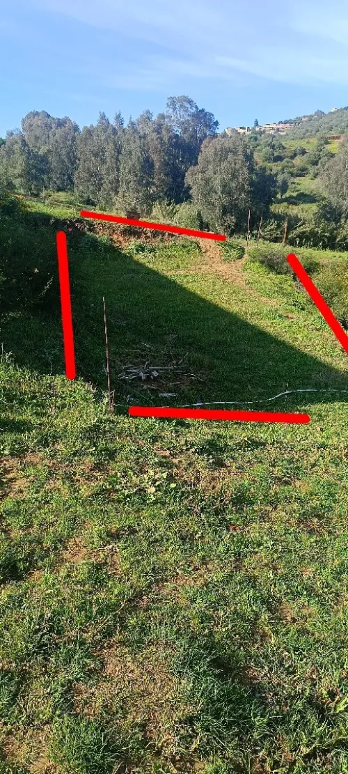 Vente Terrain Boumerdès Beni amrane