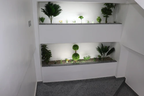 Location Appartement Bouira Lakhdaria
