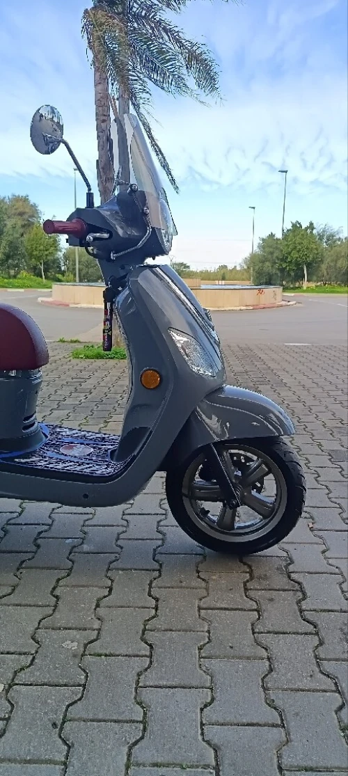 Sym Fiddle 3 2025