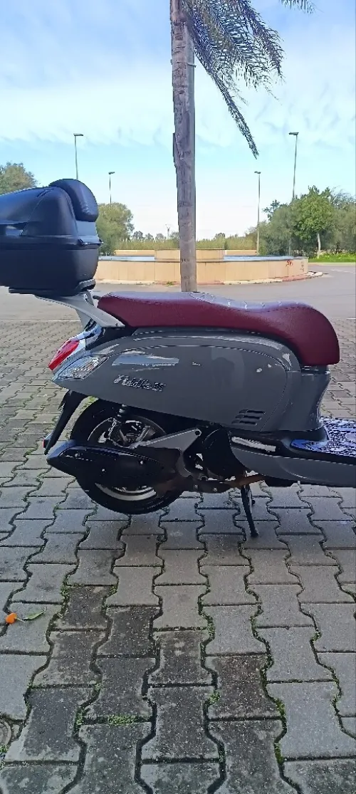 SYM Fiddle 3 2025