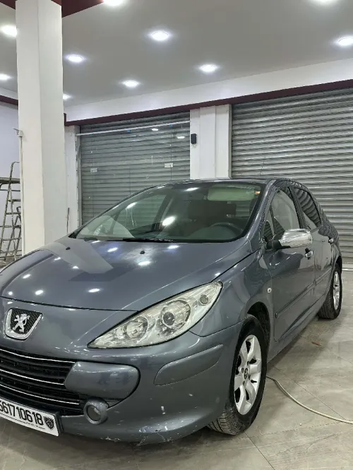 Peugeot 307 2006 Oxygo