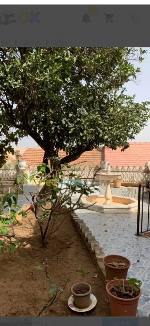 Vente Villa Alger Alger centre