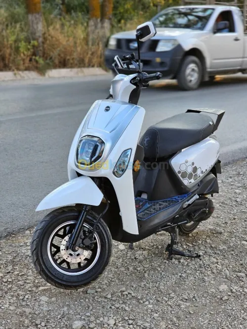 vms estate x 2025