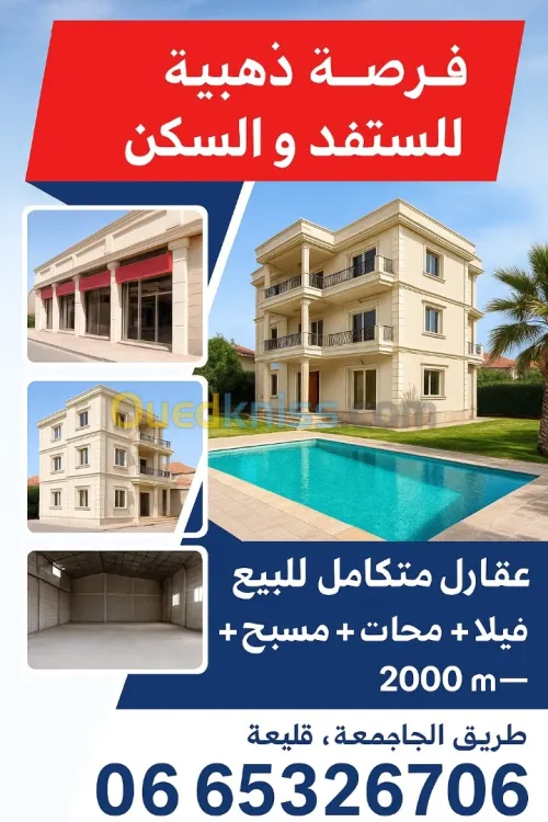 Vente Terrain Tipaza Kolea
