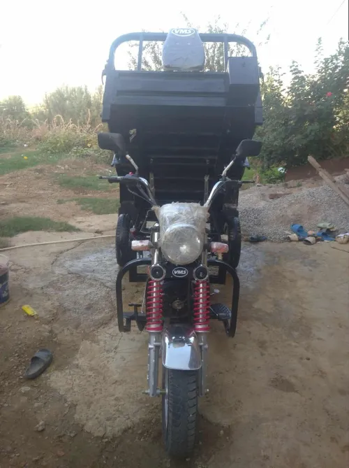 vms vms 2025