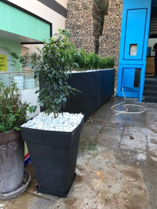 Jardinag
