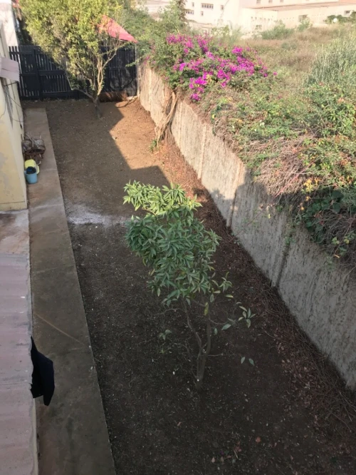 Jardinag