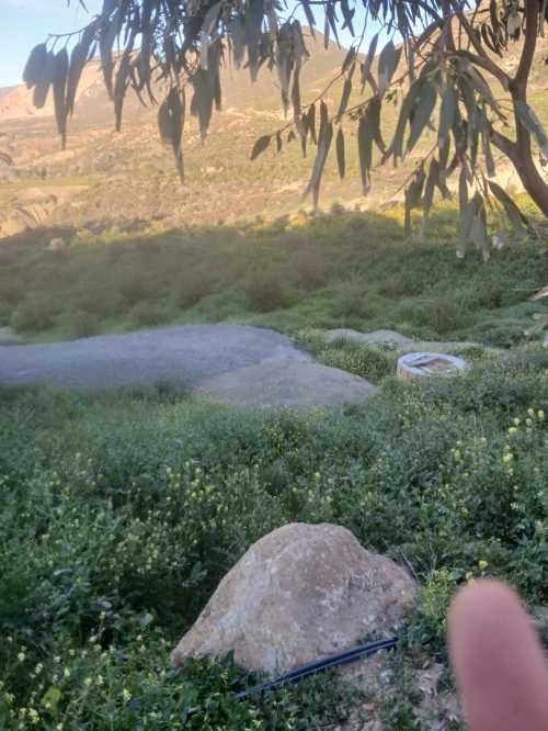 Vente Terrain Agricole Oran El ançor
