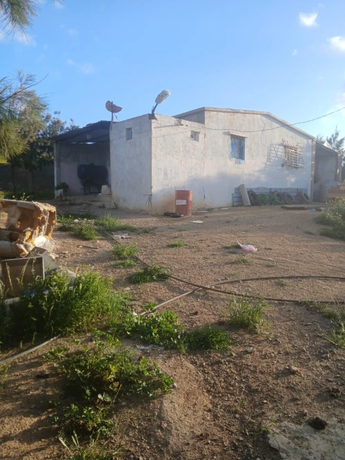 Vente Terrain Agricole Oran El ançor