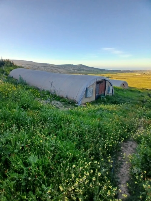 Vente Terrain Agricole Oran El ançor