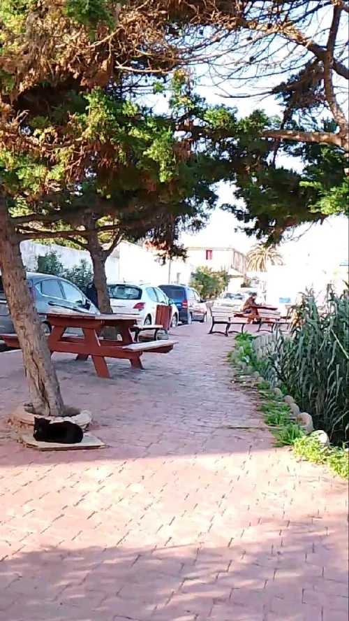 Vente Appartement F2 Alger Ain taya