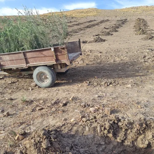 Vente Terrain Agricole Bordj Bou Arreridj Medjana