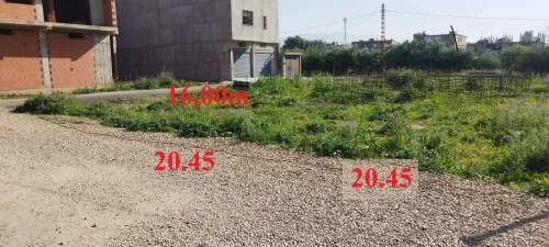Vente Terrain Alger Ouled chebel