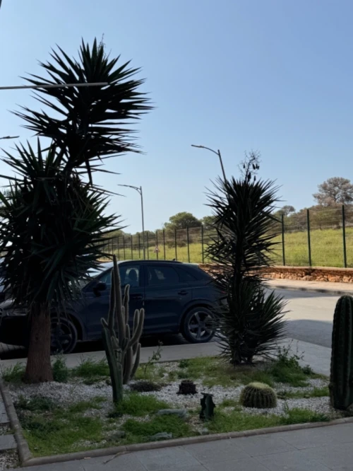 Vente Local Oran Bir el djir