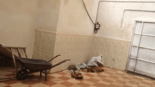 Vente Villa Biskra Ouled djellal