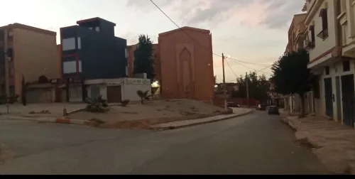 Location Local Tlemcen Mansourah
