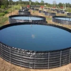 Sarl Oasis Geomembrane